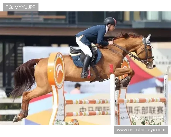 马术训练场疑似出现“灵马”传说,骑手泪目讲述重生故事 马术训练场疑似出现“灵马”传说,骑手泪目讲述重生故事